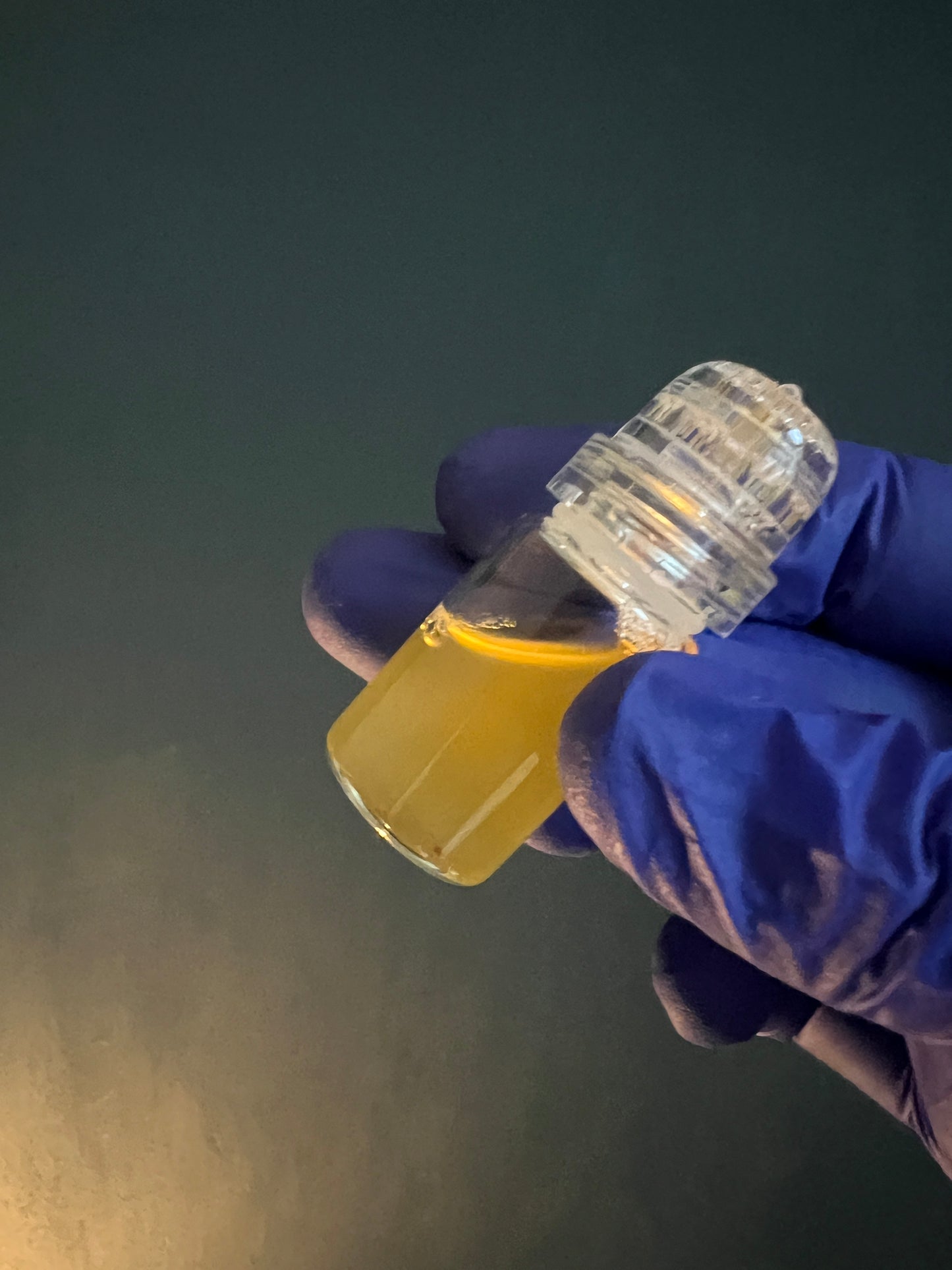 Pro 1+Live - Venepuncture and Cannulation Course