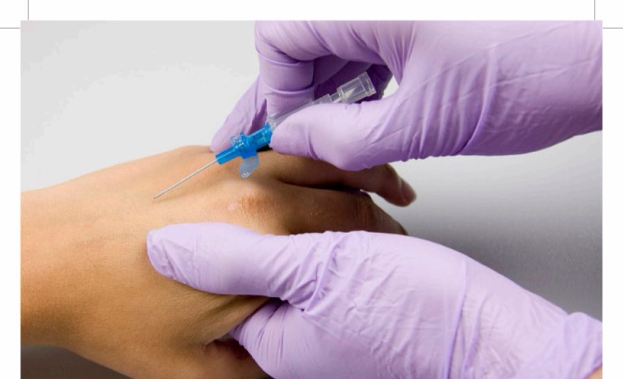 Purple-gloved clinician demonstrating IV cannulation technique on a training arm